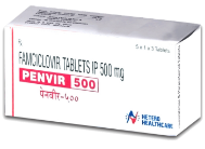 penvir500